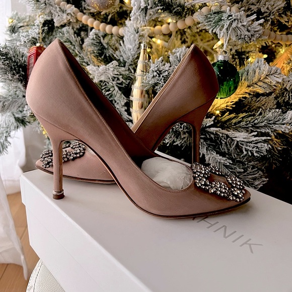 Manolo Blahnik Hangisi Pumps - Picture 6 of 10